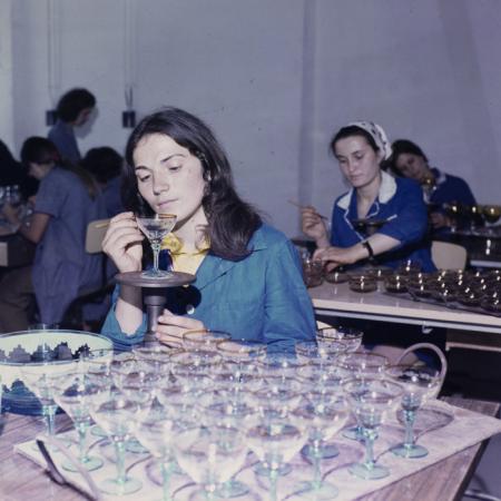 minerva_dn_gherla_005