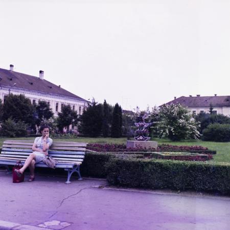 minerva_dn_gherla_008