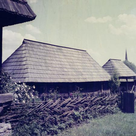 minerva_dn_keramia_001