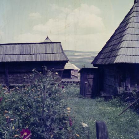 minerva_dn_keramia_002