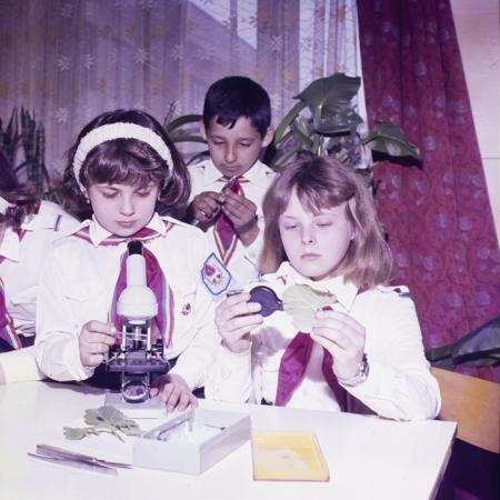 minerva_dn_lakasberenzezes006