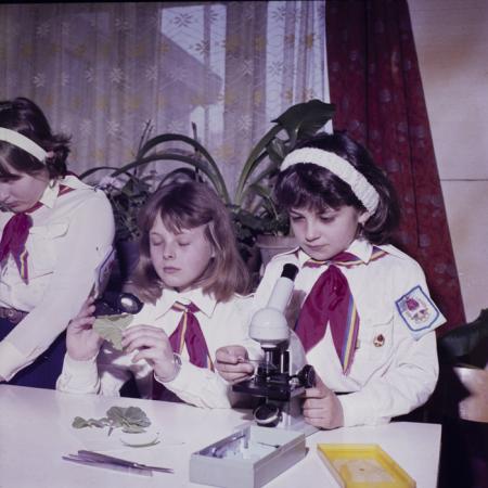 minerva_dn_lakasberenzezes008