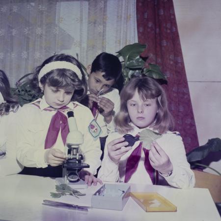 minerva_dn_lakasberenzezes010