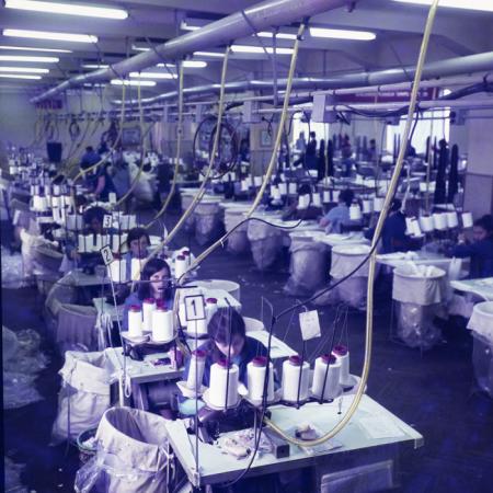 minerva_dn_margitta_002