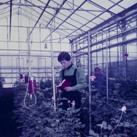 minerva_dn_megvalogulasok_002