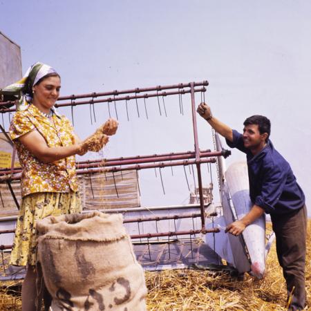 minerva_dn_mezogazdasag_002