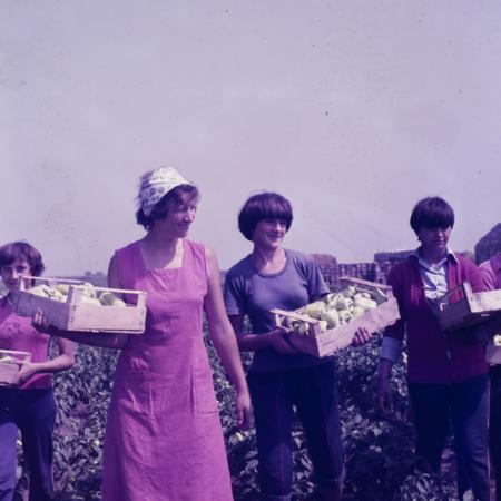 minerva_dn_mezogazdasag_003