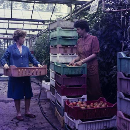 minerva_dn_mezogazdasag_009