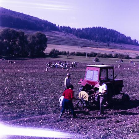 minerva_dn_mezogazdasag_011