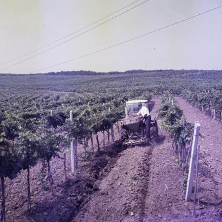 minerva_dn_mezogazdasag_012