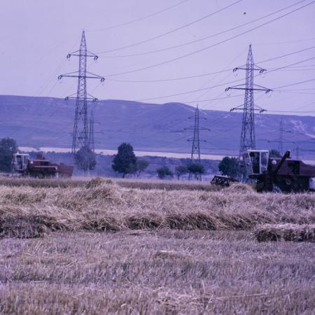 minerva_dn_mezogazdasag_015