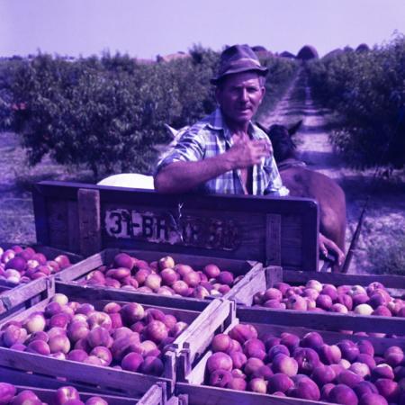 minerva_dn_mezogazdasag_017