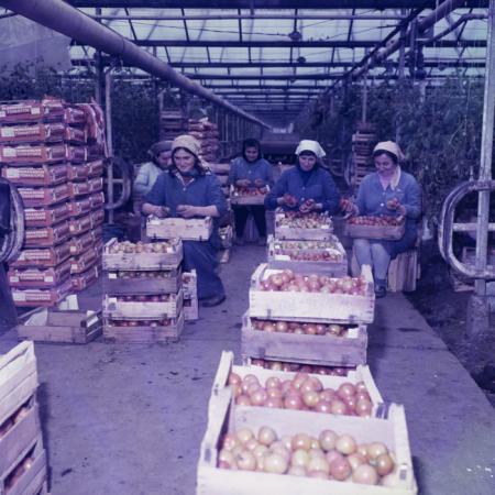 minerva_dn_mezogazdasag_018