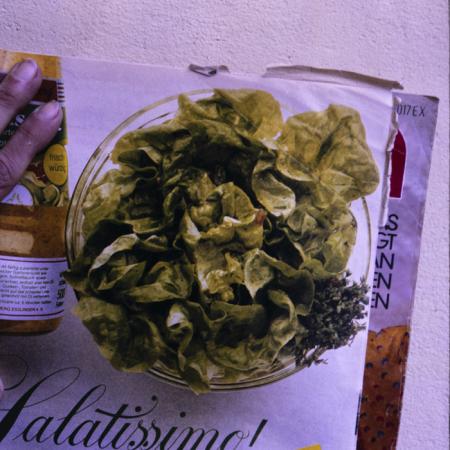 minerva_dn_repro_002