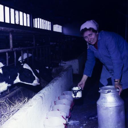 minerva_dn_sarmasag_005