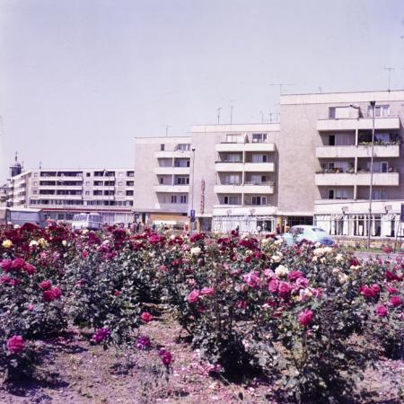 minerva_dn_tulcea_001