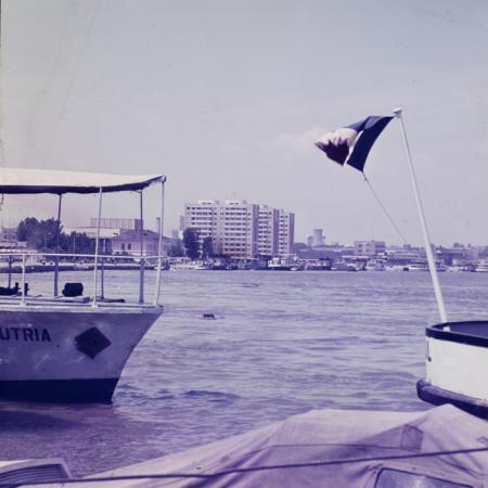 minerva_dn_tulcea_003