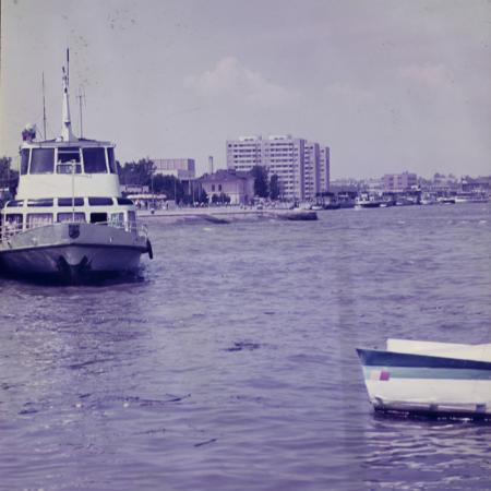 minerva_dn_tulcea_005