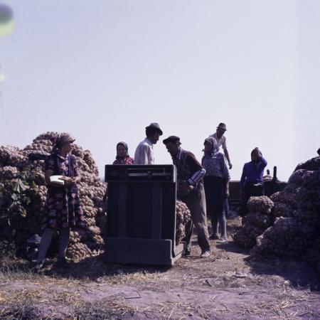 minerva_dn_varosok_030