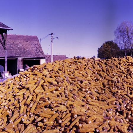 minerva_dn_varosok_2_025