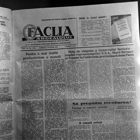 minerva_reproduceri_c1_c1r1_021