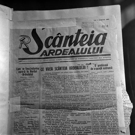 minerva_reproduceri_c1_c1r1_029