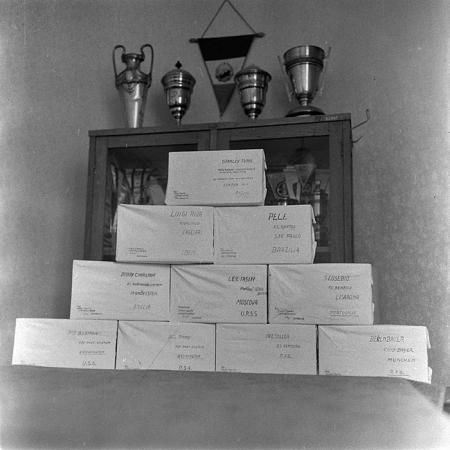 minerva_reproduceri_c1_c1r1_045