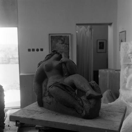 minerva_reproduceri_c1_c2r1_008