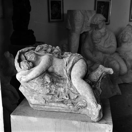 minerva_reproduceri_c1_c2r1_011