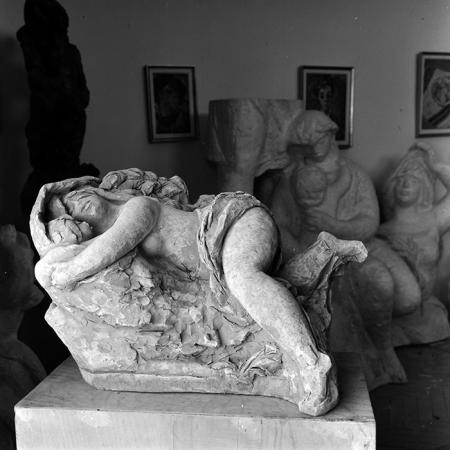 minerva_reproduceri_c1_c2r1_012