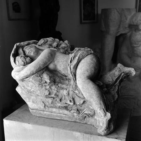 minerva_reproduceri_c1_c2r1_013