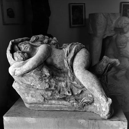 minerva_reproduceri_c1_c2r1_014