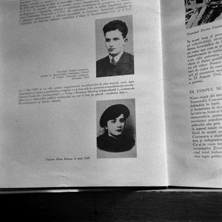 minerva_reproduceri_c1_c2r2_004