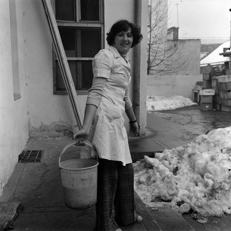 minerva_reproduceri_c1_c3r1_001