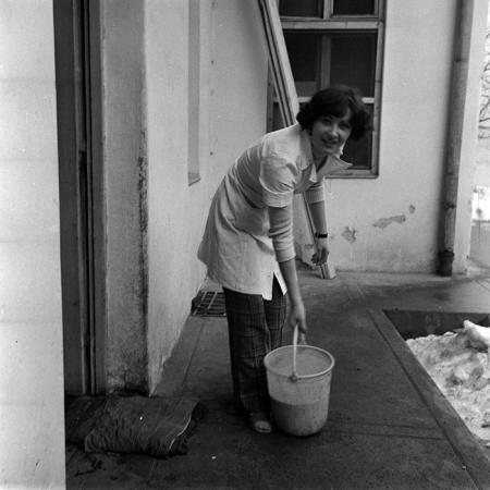 minerva_reproduceri_c1_c3r1_002