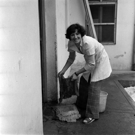 minerva_reproduceri_c1_c3r1_004