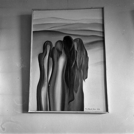 minerva_reproduceri_c1_c3r1_011