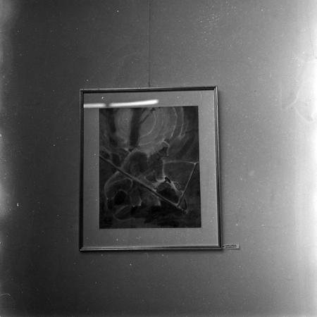 minerva_reproduceri_c1_c4r2_004