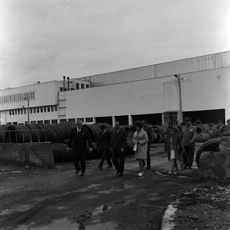 minerva_reproduceri_c1_c4r5_003