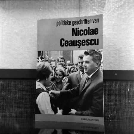 minerva_reproduceri_c1_c5r1_007