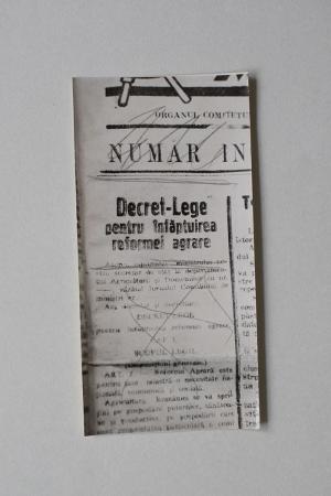 minerva_reproduceri_c1_poze_011