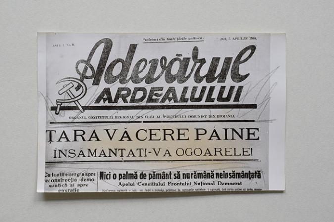 minerva_reproduceri_c1_poze_013