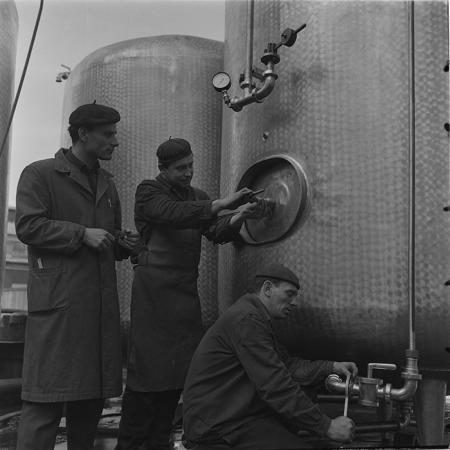 minerva_tehnofrig_012