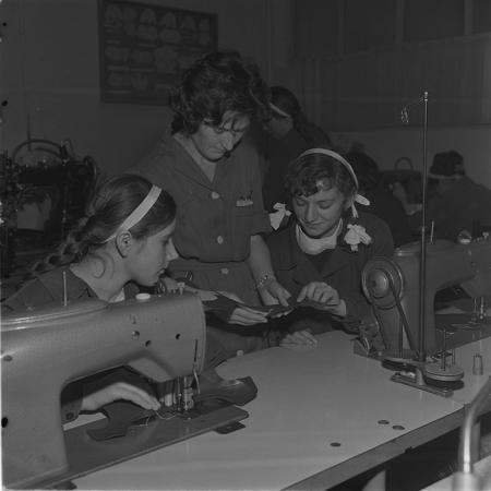 minerva_tehnofrig_018