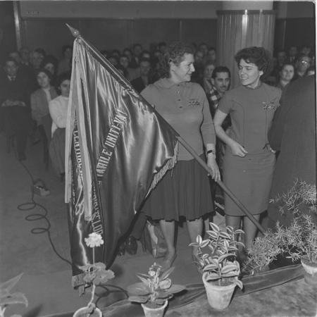 minerva_tehnofrig_031