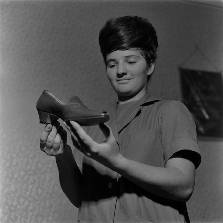 minerva_tehnofrig_033